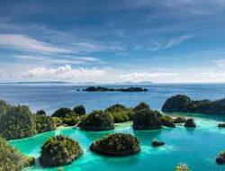 Surga Bawah Laut dan Konservasi Alam di Papua Barat