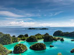 Surga Bawah Laut dan Konservasi Alam di Papua Barat