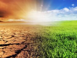 Analisis Dampak Perubahan Iklim pada Sektor Pertanian di Indonesia