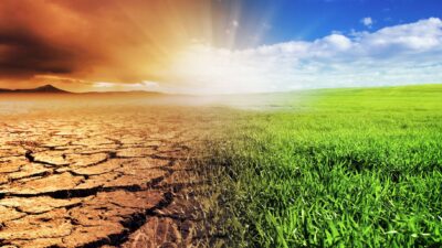 Analisis Dampak Perubahan Iklim pada Sektor Pertanian di Indonesia